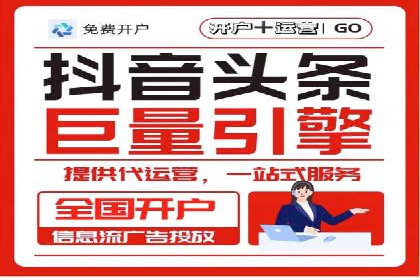 百度竞价SEM案例：揭秘高效广告投放技巧
